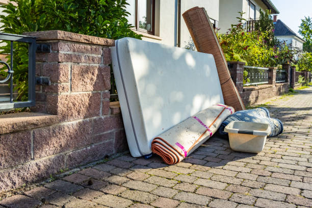 Yard Cleanup Services in Carrington, ND